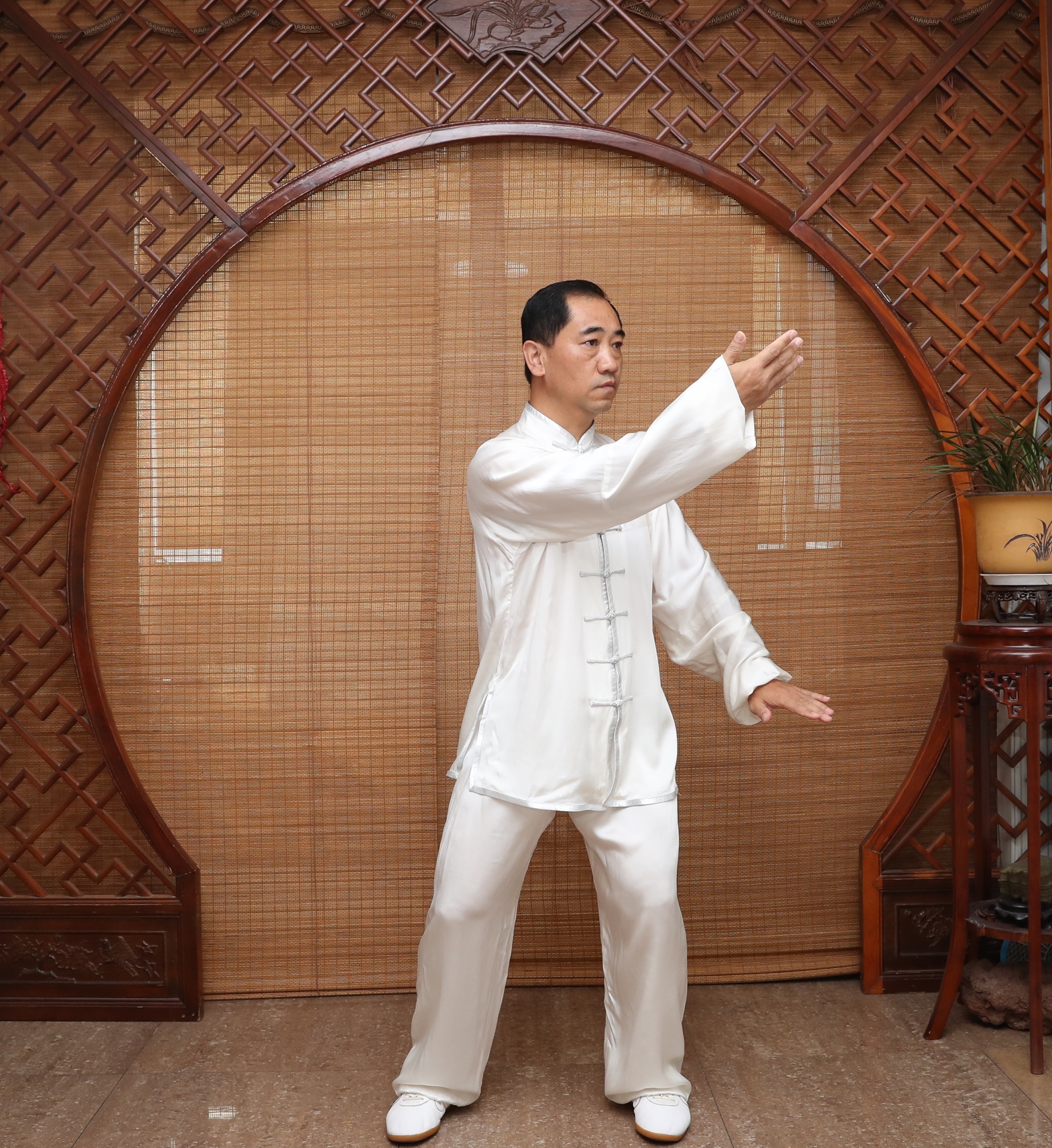 18 tai chi movements