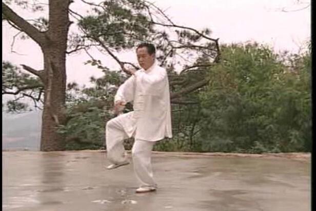 cheng man ching tai chi the 37 step form